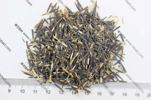<a href='http://www.zishuwang.com.cn/caohuazhongzi/1604.html' target='_blank'>南非萬壽菊種子</a>