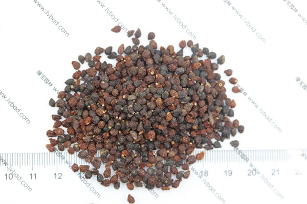 藍(lán)花<a href='http://www.zishuwang.com.cn/caohuazhongzi/1578.html' target='_blank'>鳶尾種子</a>
