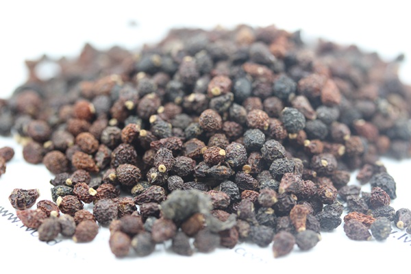 藍(lán)花<a href='http://www.zishuwang.com.cn/caohuazhongzi/1578.html' target='_blank'>鳶尾</a><a href='http://www.zishuwang.com.cn/' target='_blank'>種子</a>