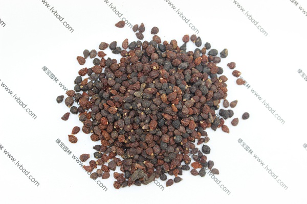 藍(lán)花<a href='http://www.zishuwang.com.cn/caohuazhongzi/1578.html' target='_blank'>鳶尾</a><a href='http://www.zishuwang.com.cn/' target='_blank'>種子</a>