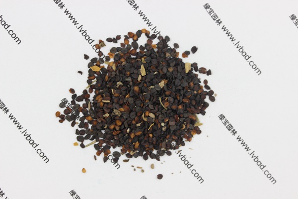 <a href='http://www.zishuwang.com.cn/caohuazhongzi/1574.html' target='_blank'>康乃馨</a><a href='http://www.zishuwang.com.cn/' target='_blank'>種子</a>