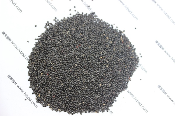 <a href='http://www.zishuwang.com.cn/caohuazhongzi/1076.html' target='_blank'>雞冠花</a><a href='http://www.zishuwang.com.cn/' target='_blank'>種子</a>
