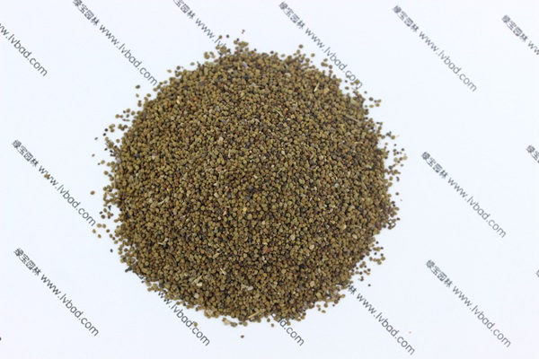 <a href='http://www.zishuwang.com.cn/caohuazhongzi/1022.html' target='_blank'>半枝蓮</a><a href='http://www.zishuwang.com.cn/' target='_blank'>種子</a>