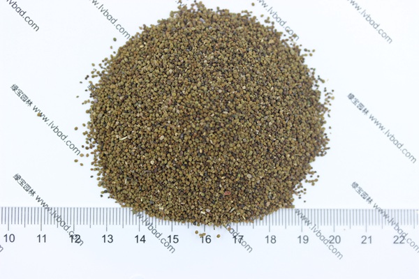 半枝蓮<a href='http://www.zishuwang.com.cn/' target='_blank'>種子</a>