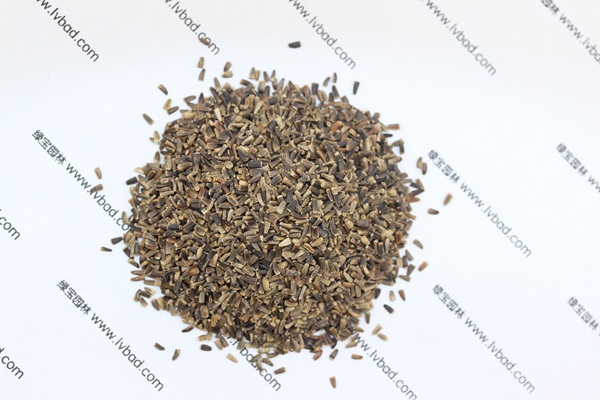 <a href='http://www.zishuwang.com.cn/mucaozhongzi/14254.html' target='_blank'>菊苣</a><a href='http://www.zishuwang.com.cn/' target='_blank'>種子</a>