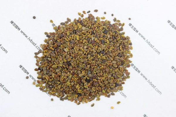 <a href='http://www.zishuwang.com.cn/mucaozhongzi/1694.html' target='_blank'>紫云英</a><a href='http://www.zishuwang.com.cn/' target='_blank'>種子</a>