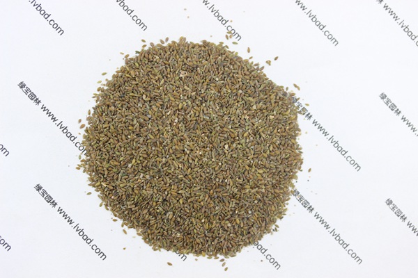 <a href='http://www.zishuwang.com.cn/mucaozhongzi/14650.html' target='_blank'>沙蒿</a><a href='http://www.zishuwang.com.cn/' target='_blank'>種子</a>