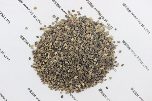 <a href='http://www.zishuwang.com.cn/caohuazhongzi/1041.html' target='_blank'>地膚</a><a href='http://www.zishuwang.com.cn/' target='_blank'>種子</a>
