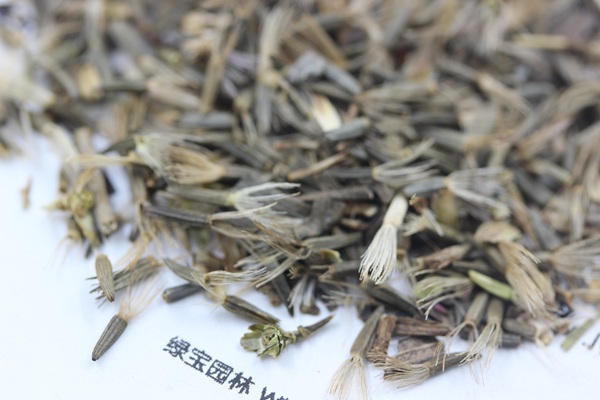 <a href='http://www.zishuwang.com.cn/caohuazhongzi/1620.html' target='_blank'>蛇鞭菊種子</a>