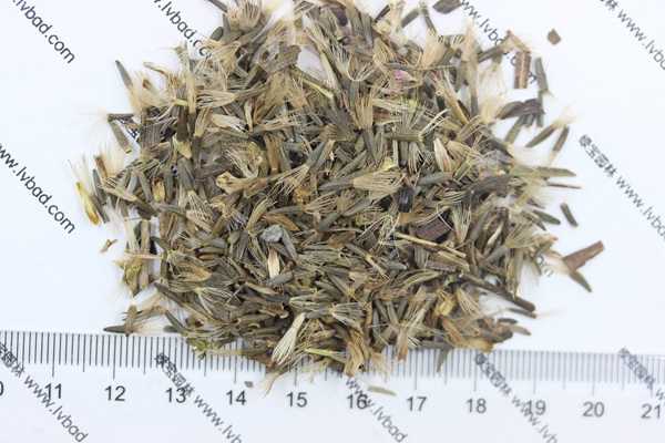 <a href='http://www.zishuwang.com.cn/caohuazhongzi/1620.html' target='_blank'>蛇鞭菊種子</a>