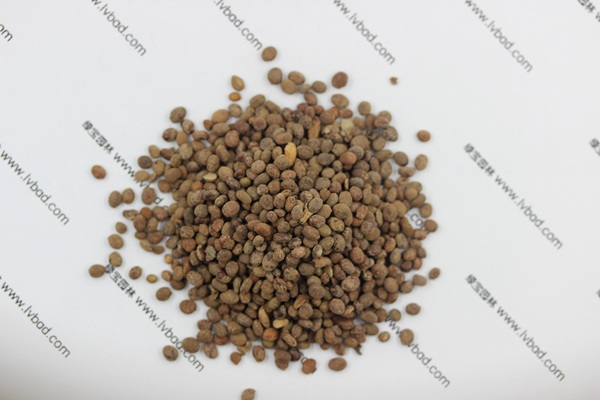 <a href='http://www.zishuwang.com.cn/caohuazhongzi/1655.html' target='_blank'>指甲花種子</a>