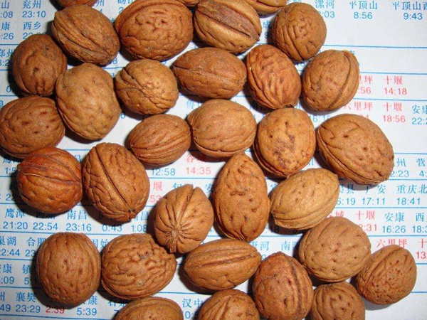 <a href='http://www.zishuwang.com.cn/guoshuzhongzi/2185.html' target='_blank'>山桃種子</a>