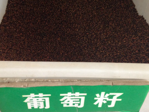 <a href='http://www.zishuwang.com.cn/guoshuzhongzi/1887.html' target='_blank'>葡萄</a><a href='http://www.zishuwang.com.cn/' target='_blank'>種子</a>