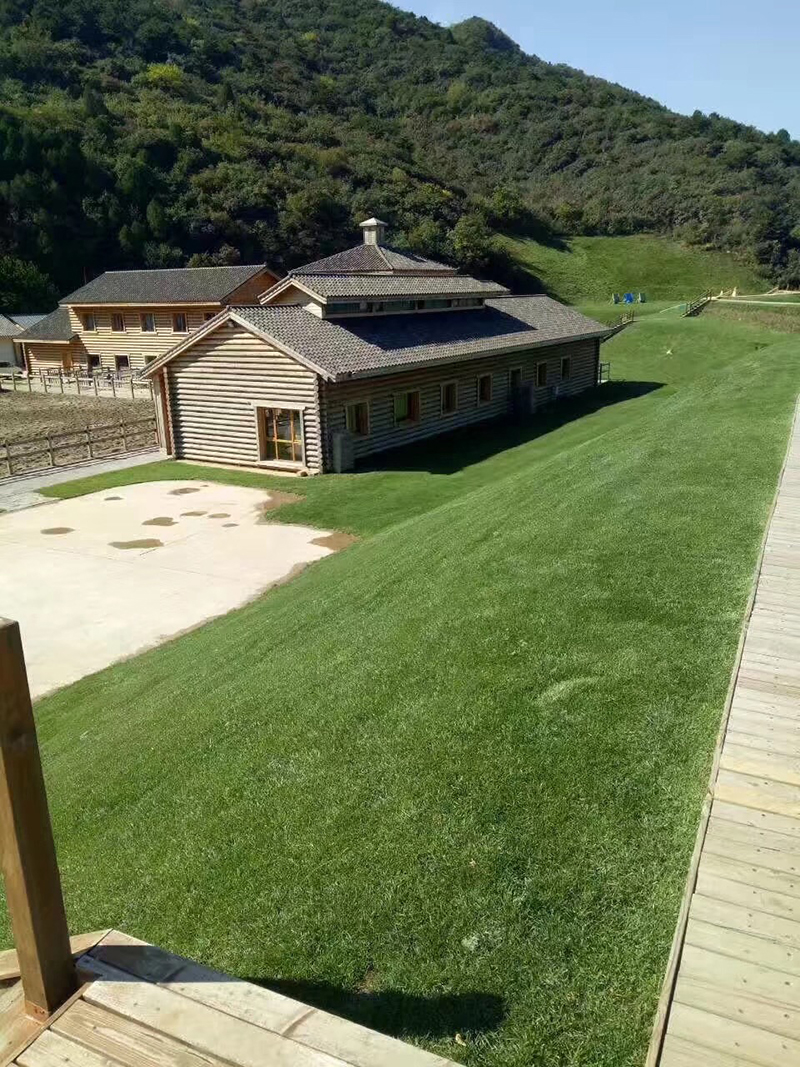 百慕大草坪在園林的應用花園邊坡護坡