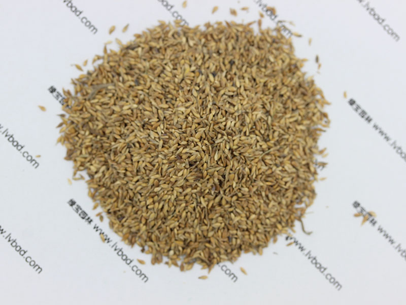 <a href='http://www.zishuwang.com.cn/caopingzhongzi/1671.html' target='_blank'>結(jié)縷草種子</a>