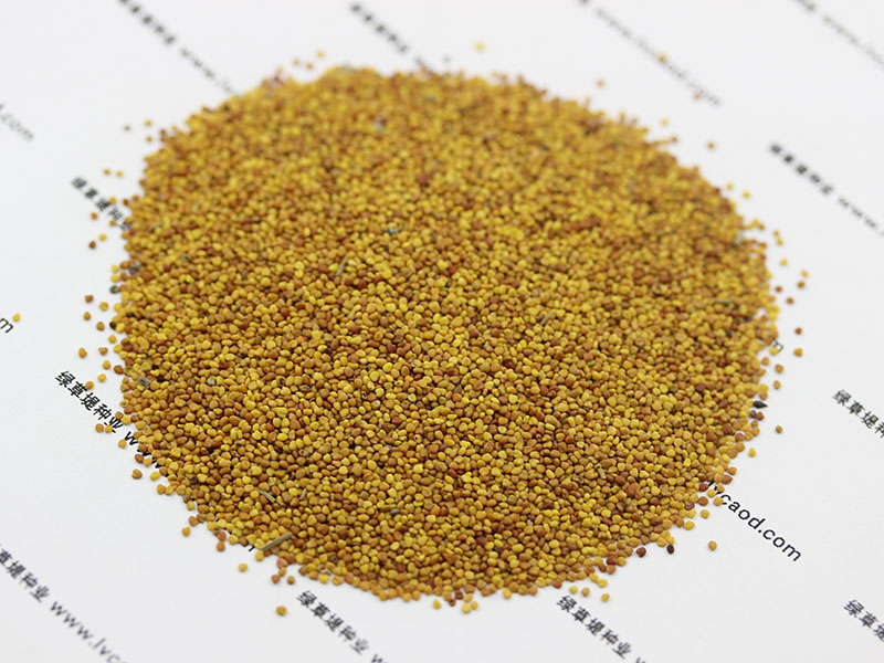 <a href='http://www.zishuwang.com.cn/caopingzhongzi/1662.html' target='_blank'>白三葉種子</a>