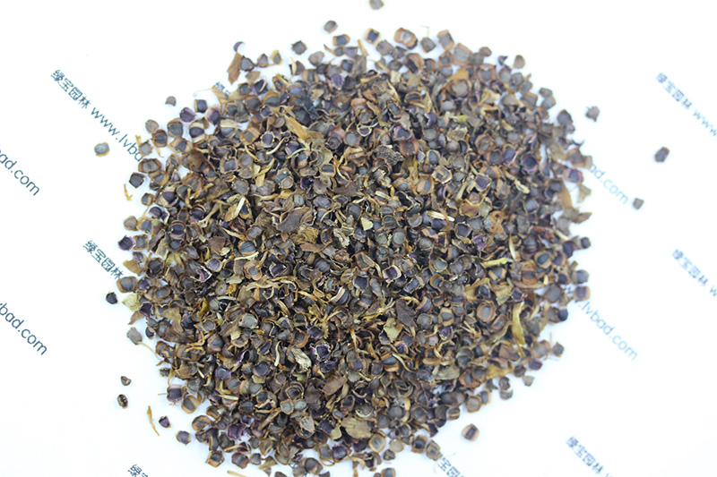<a href='http://www.zishuwang.com.cn/caohuazhongzi/1568.html' target='_blank'>金雞菊種子</a>