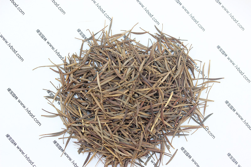 <a href='http://www.zishuwang.com.cn/caohuazhongzi/1583.html' target='_blank'>硫華菊種子</a>