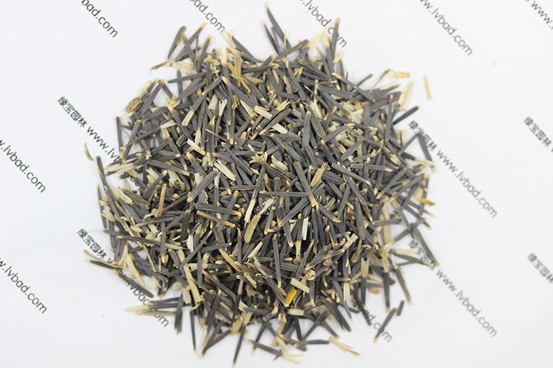 <a href='http://www.zishuwang.com.cn/caohuazhongzi/1631.html' target='_blank'>萬壽菊種子</a>