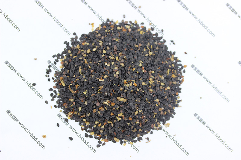 <a href='http://www.zishuwang.com.cn/caohuazhongzi/97045.html' target='_blank'>石竹</a><a href='http://www.zishuwang.com.cn/' target='_blank'>種子</a>