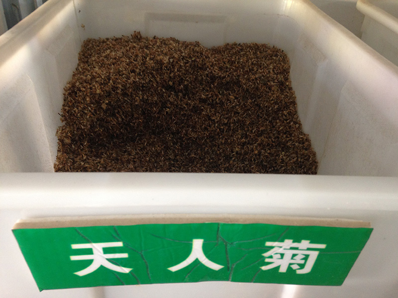 <a href='http://www.zishuwang.com.cn/caohuazhongzi/16044.html' target='_blank'>天人菊</a><a href='http://www.zishuwang.com.cn/' target='_blank'>種子</a>