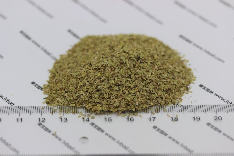 雛菊<a href='http://www.zishuwang.com.cn/' target='_blank'>種子</a>