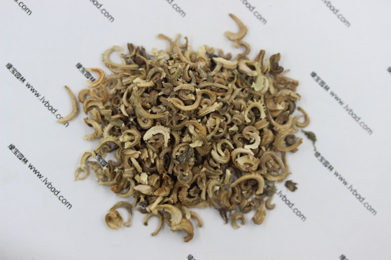 <a href='http://www.zishuwang.com.cn/caohuazhongzi/1571.html' target='_blank'>金盞菊</a><a href='http://www.zishuwang.com.cn/' target='_blank'>種子</a>圖片