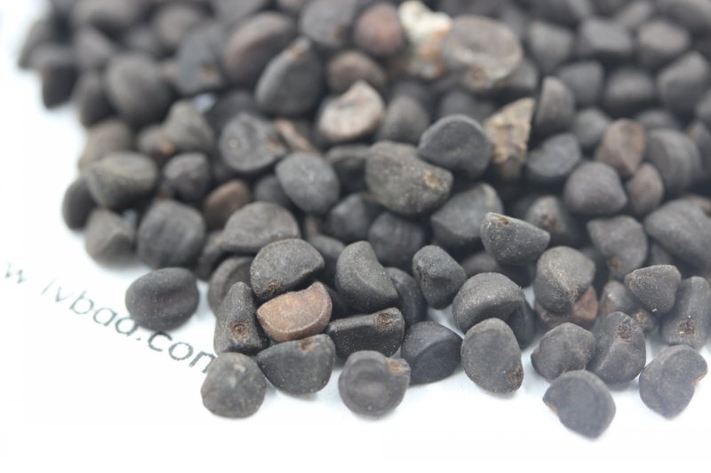 <a href='http://www.zishuwang.com.cn/caohuazhongzi/1613.html' target='_blank'>牽牛花</a><a href='http://www.zishuwang.com.cn/' target='_blank'>種子</a>