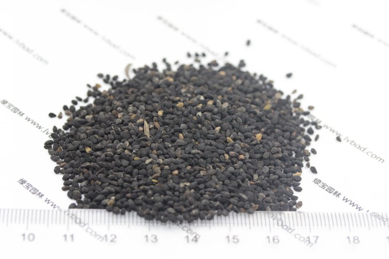 <a href='http://www.zishuwang.com.cn/caohuazhongzi/1061.html' target='_blank'>黑種草種子</a>